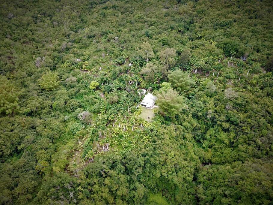 Villa Trésor Péi - Mon îlet photo 4