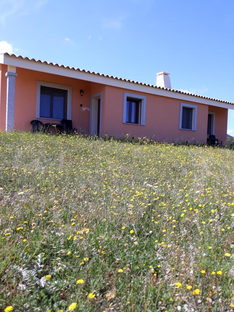 agriturismo gli olivastri, appartamento la rosa dei venti con piscina e solarium , splendida vista mare photo 3