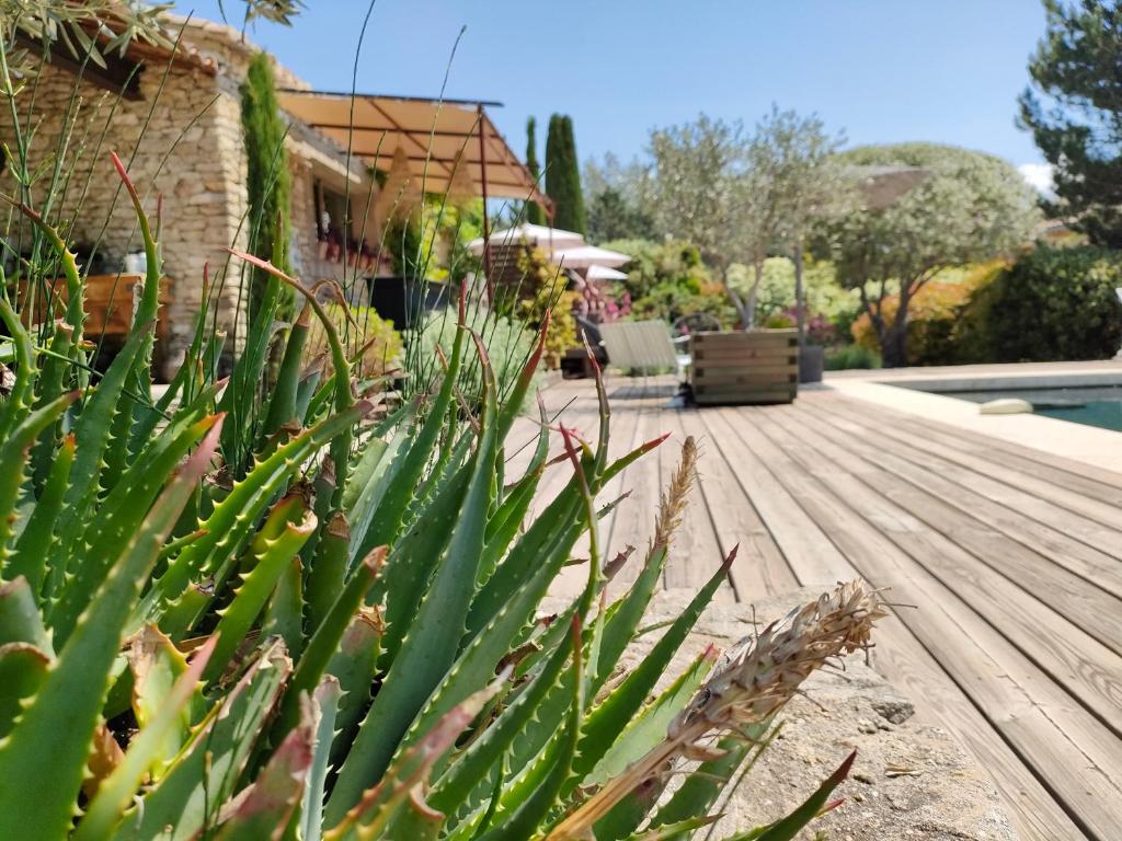 Villa Cabrida photo 2