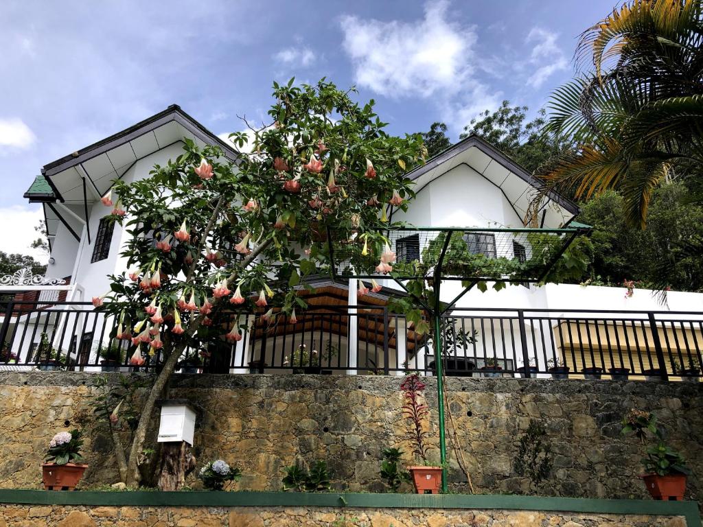 Hill Crest Holiday Bungalow photo 1