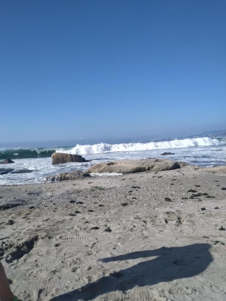 Pelícanos 2D i-13 Vistas, playa y piscinas photo 3