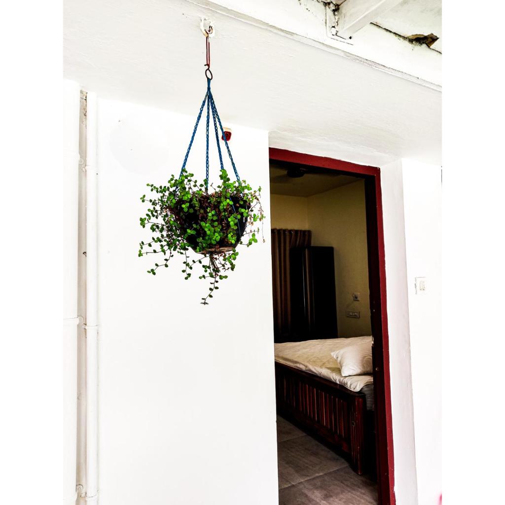 Nature Villa Kochi photo 4