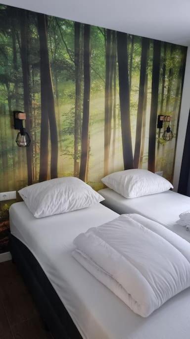 Gezellige, luxe bungalow 't pareltje in het bos in Hardenberg "Rheezerveen"woning 20 photo 4