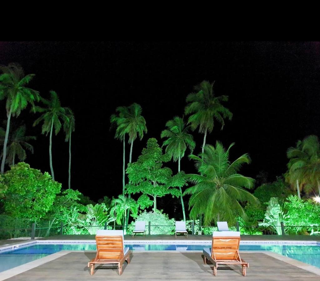 CASA ELEGANCE photo 2