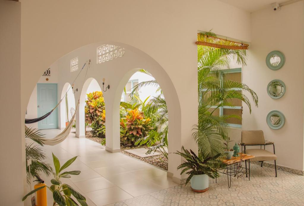 Casa Celeste Honda photo 3