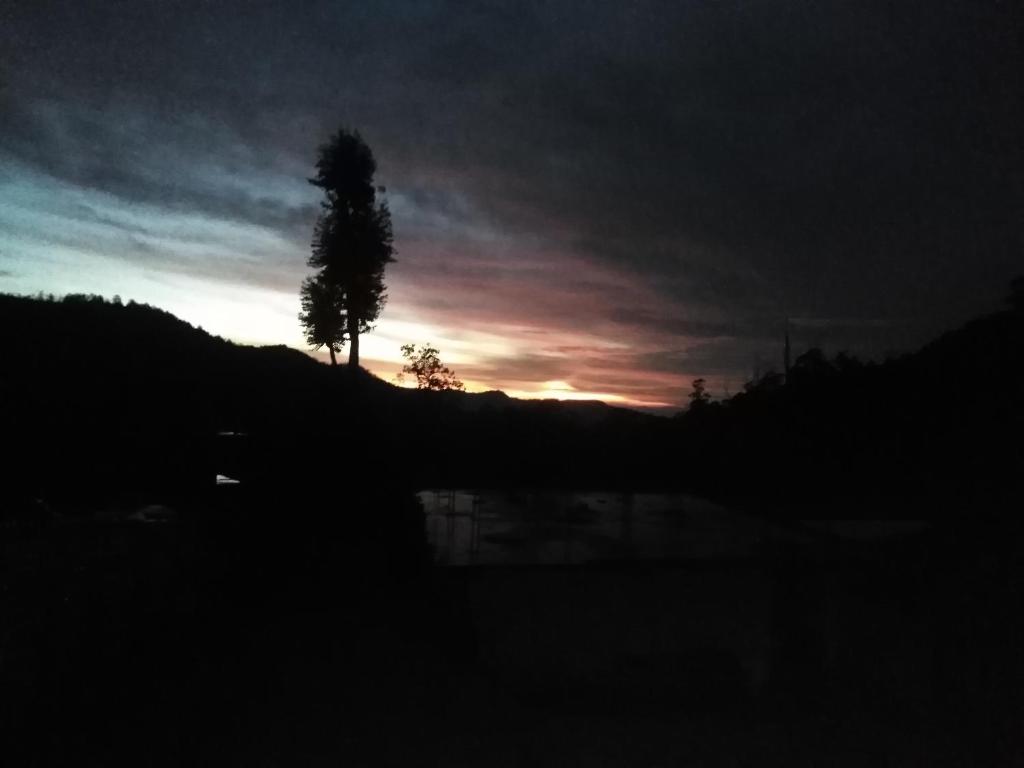 Forest Cyniciam Homestay photo 3