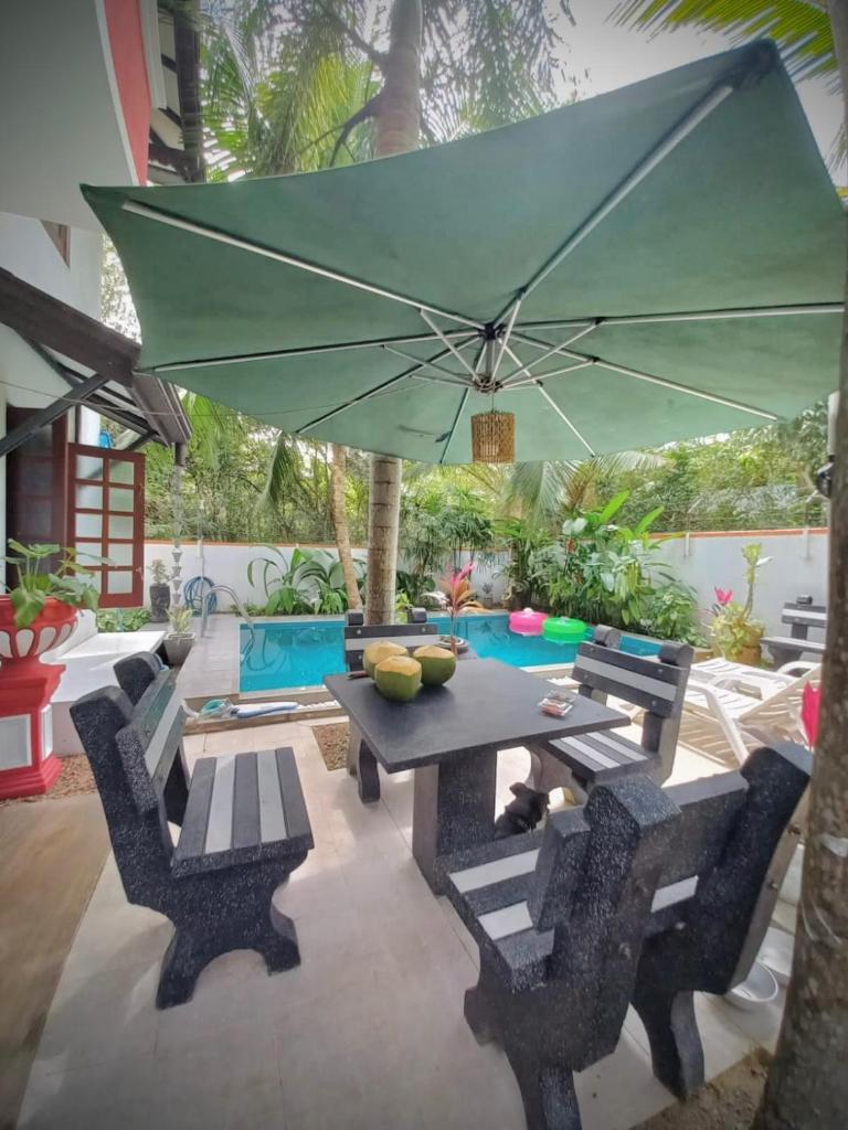 Luxury villa Costanza photo 3
