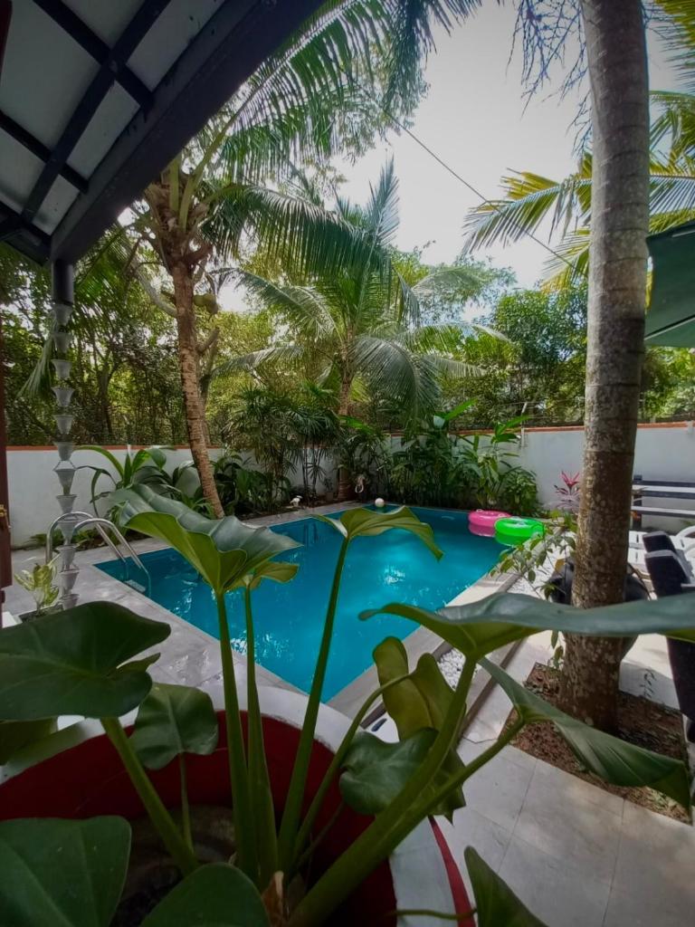Luxury villa Costanza photo 1