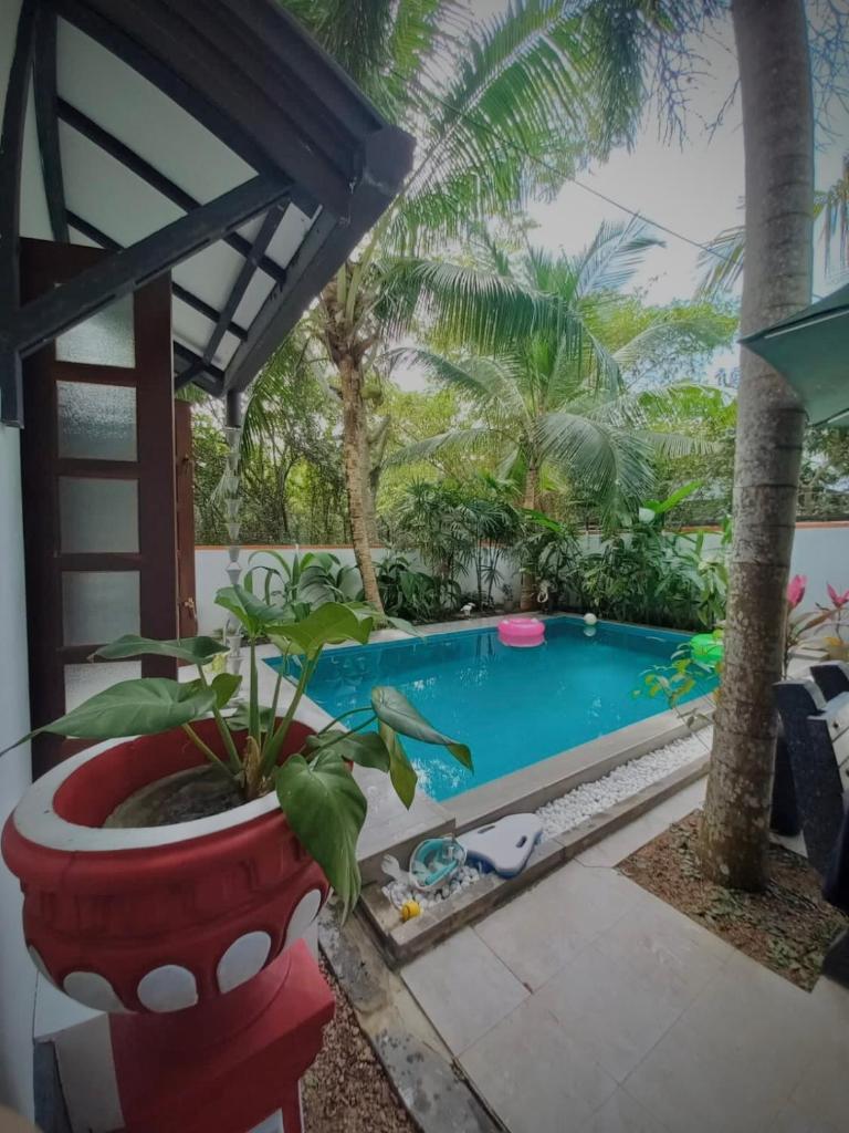 Luxury villa Costanza photo 2