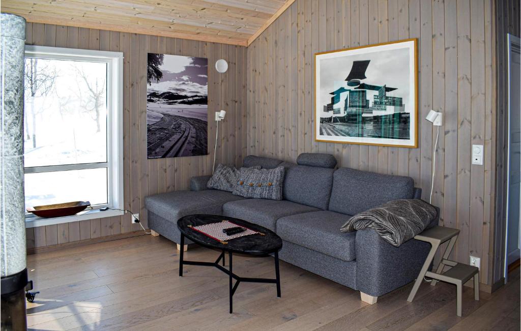 Amazing Home In Rauland With Sauna, 3 Bedrooms And Wifi photo 3