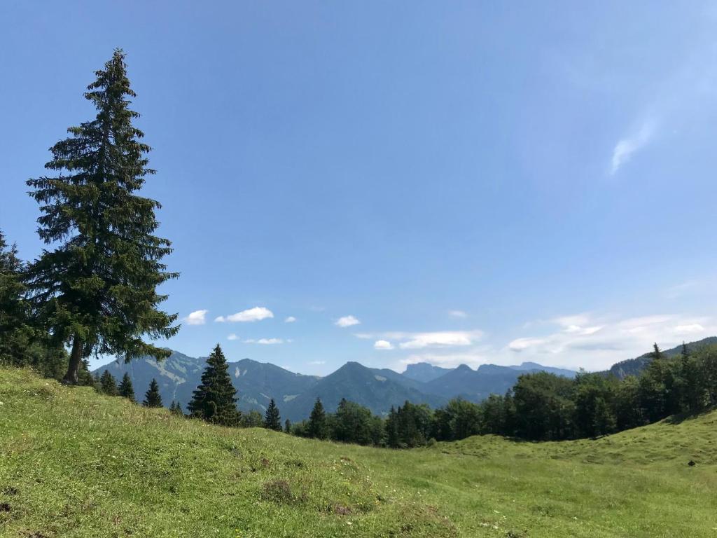 Chalet Chiemgau photo 3
