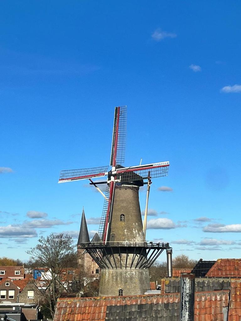 De Molen photo 4