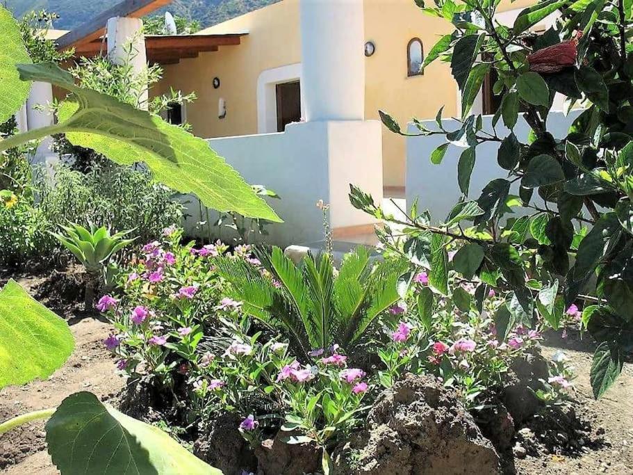 Casa Il Girasole, panoramica e a pochi passi dal centro di Malfa photo 1