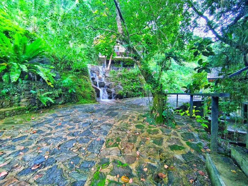 Forest Shade Eco Resort photo 2