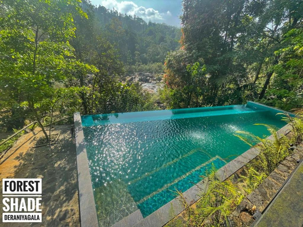 Forest Shade Eco Resort photo 1