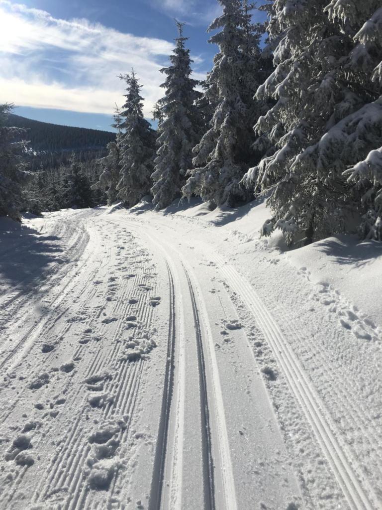 Eco-Rajka Nowy Gierałtów 17 b photo 3