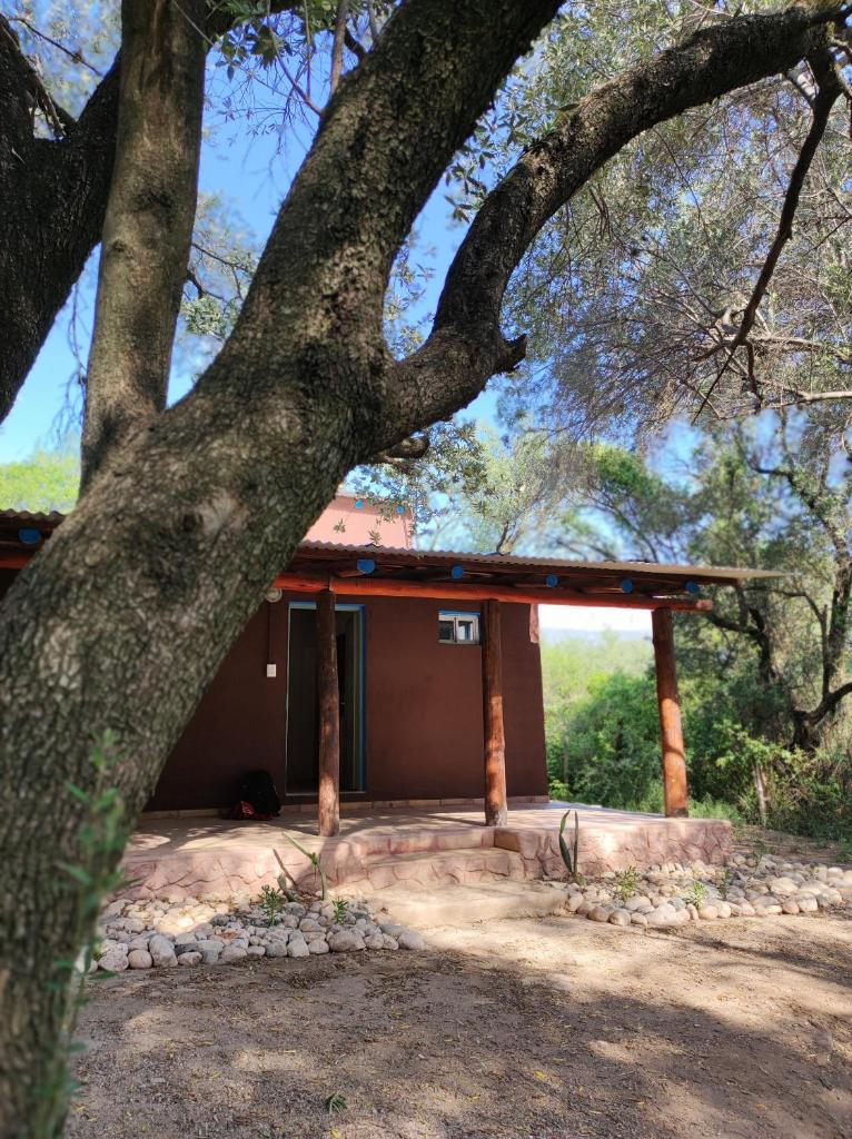 La Olivera casa de campo