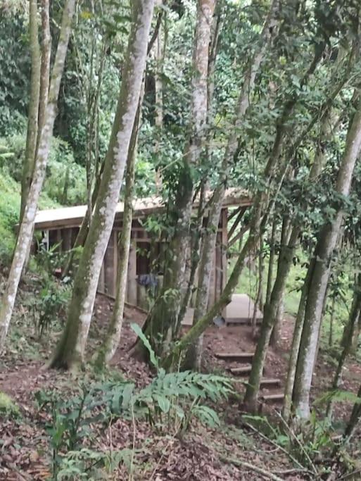 Zen Oasis del Bosque, ¡A place to reconnect! photo 2