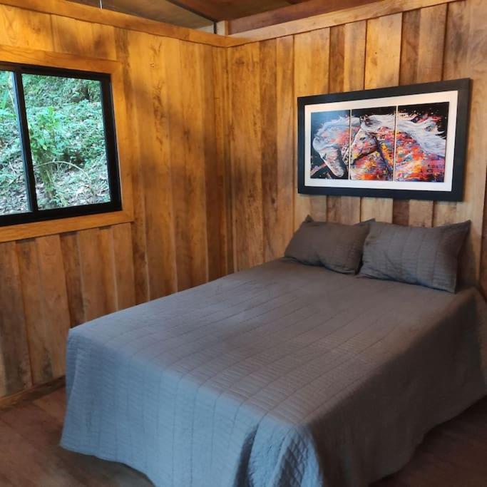 Zen Oasis del Bosque, ¡A place to reconnect! photo 4