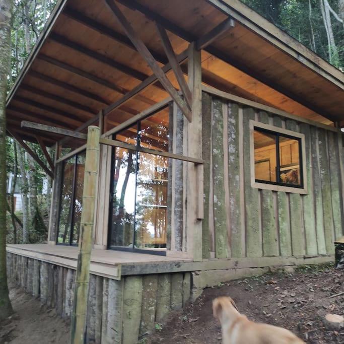 Zen Oasis del Bosque, ¡A place to reconnect! photo 1