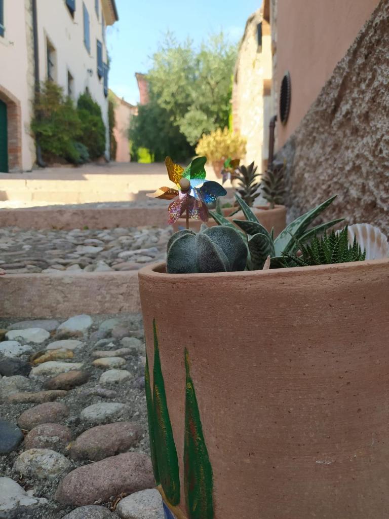 Appartamento La Scaletta photo 3