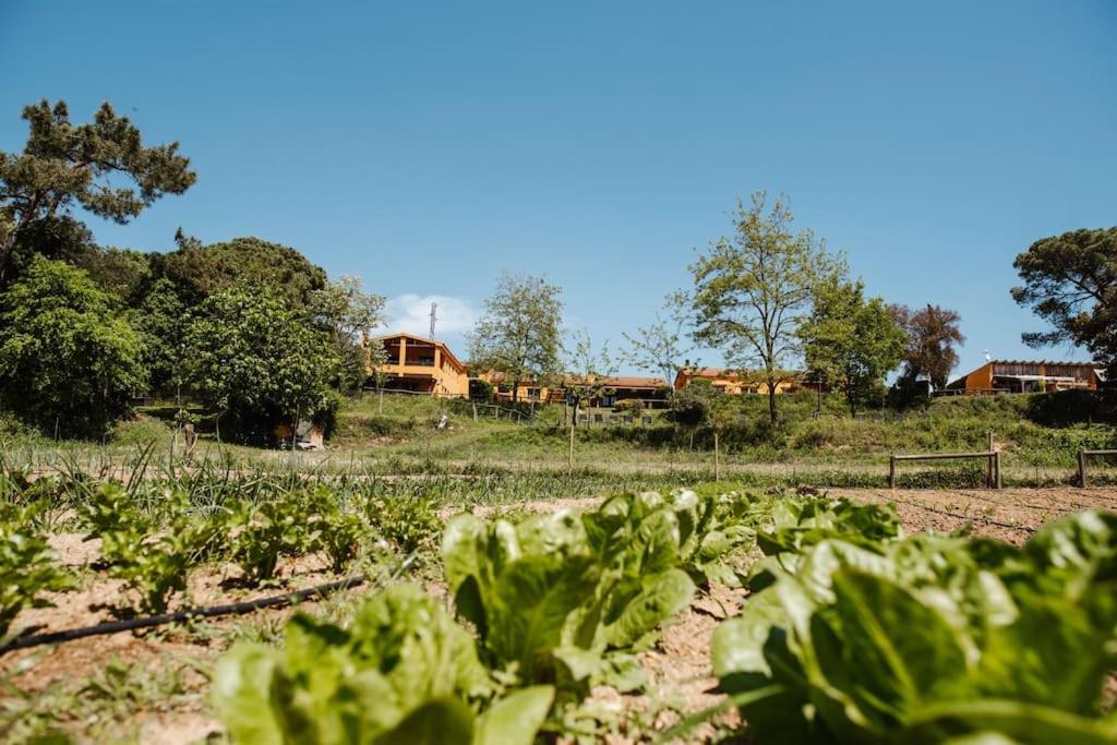 Las HORTENSIAS casa rural en el campo photo 4