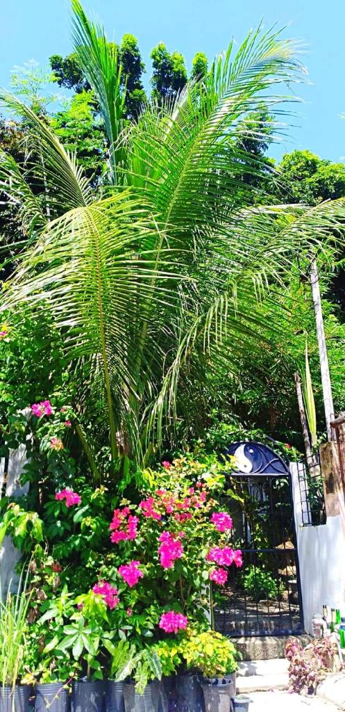 Cozy 1-bedroom house in quiet residential village. photo 1