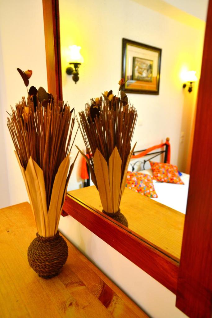 Студио (Номер-студио), Olympos Pension