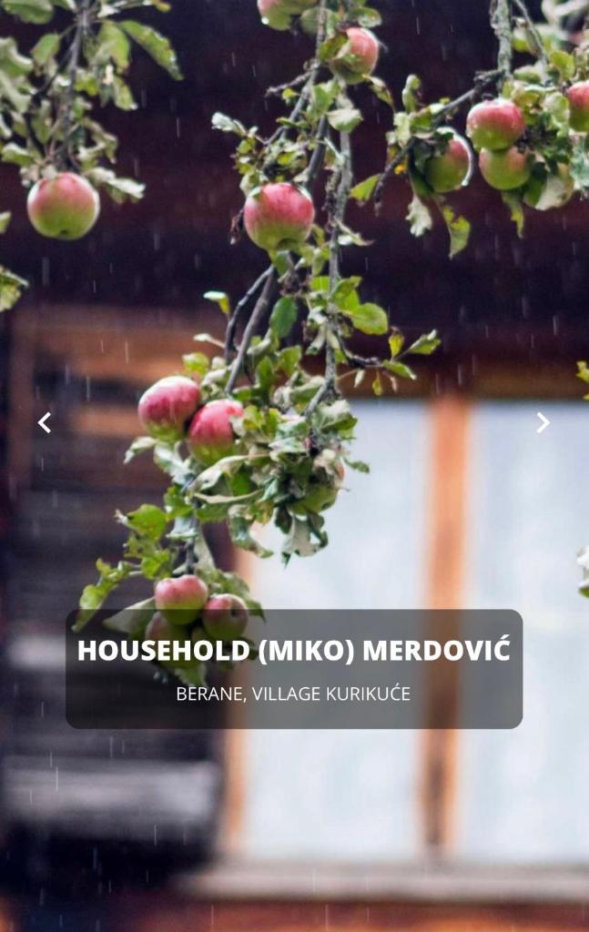 SEOSKO DOMAĆINSTVO MERDOVIĆ - KURIKUĆE photo 2