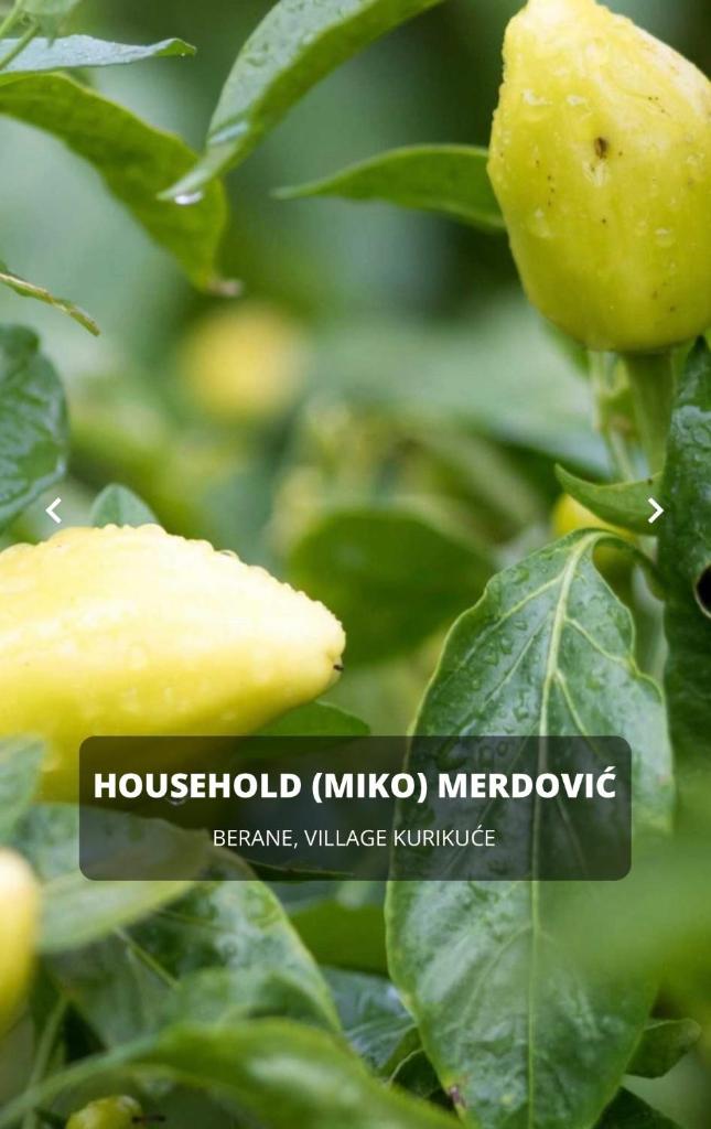 SEOSKO DOMAĆINSTVO MERDOVIĆ - KURIKUĆE photo 4