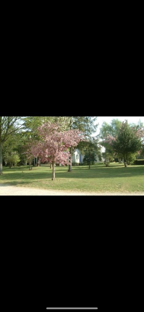 Camping le clos des Sablons photo 3
