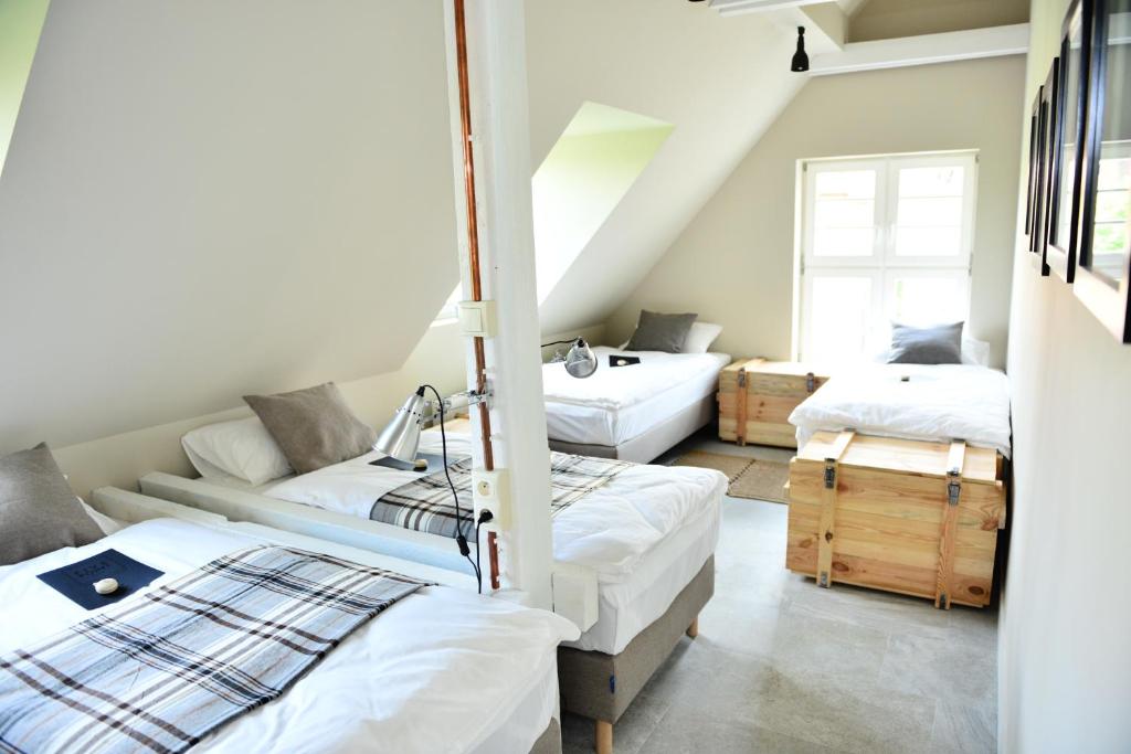 Апартаменты (Апартаменты Делюкс), Five Point Hostel