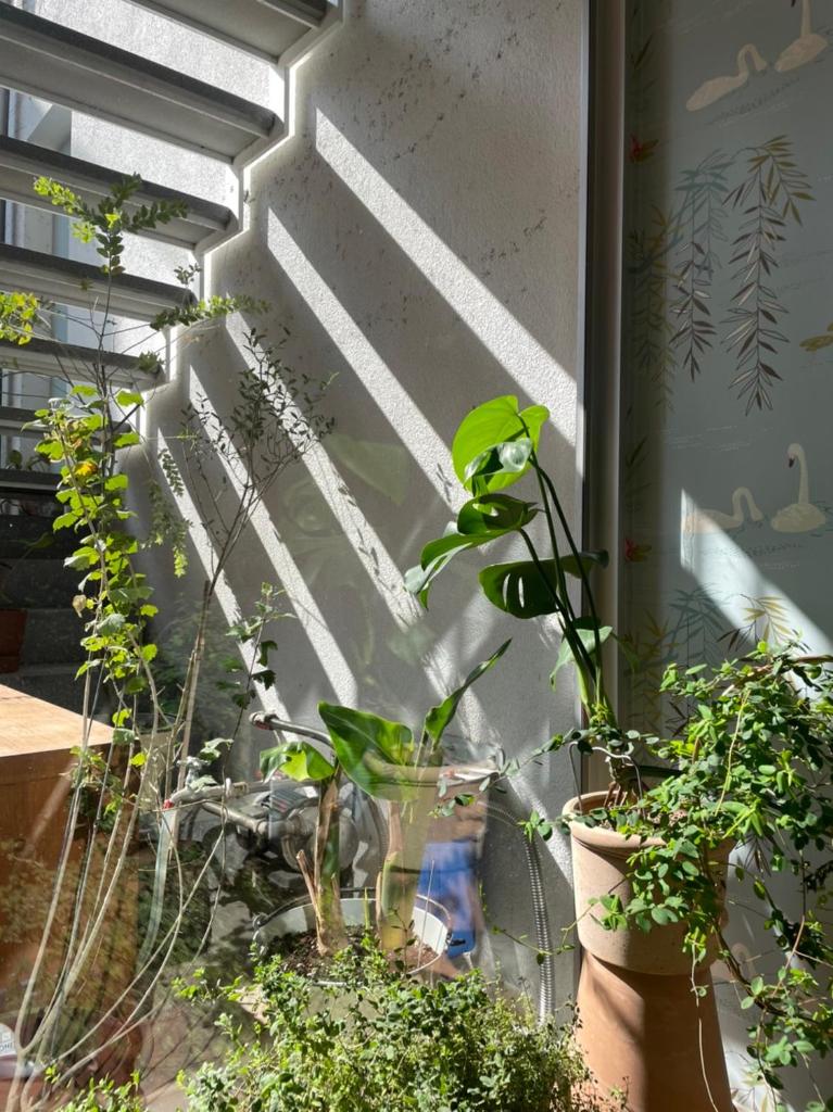 Chulin Homestay photo 3