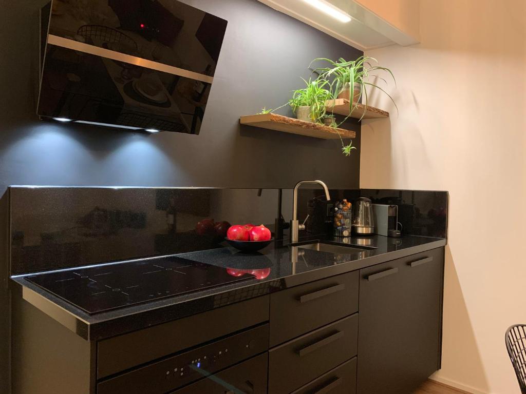 2 Double floor Delft City Centre new family apartment photo 4
