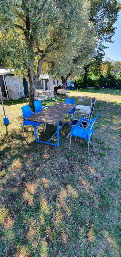 Camping Pilzone photo 4