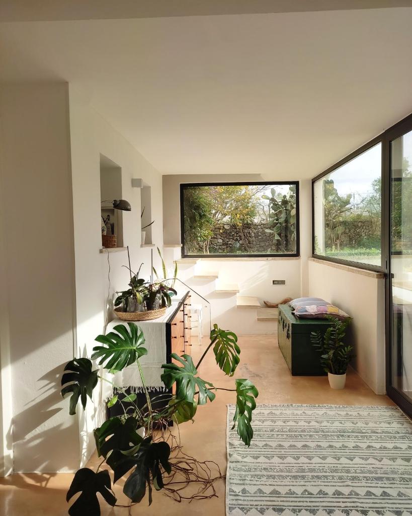 Casa Aquilino photo 4