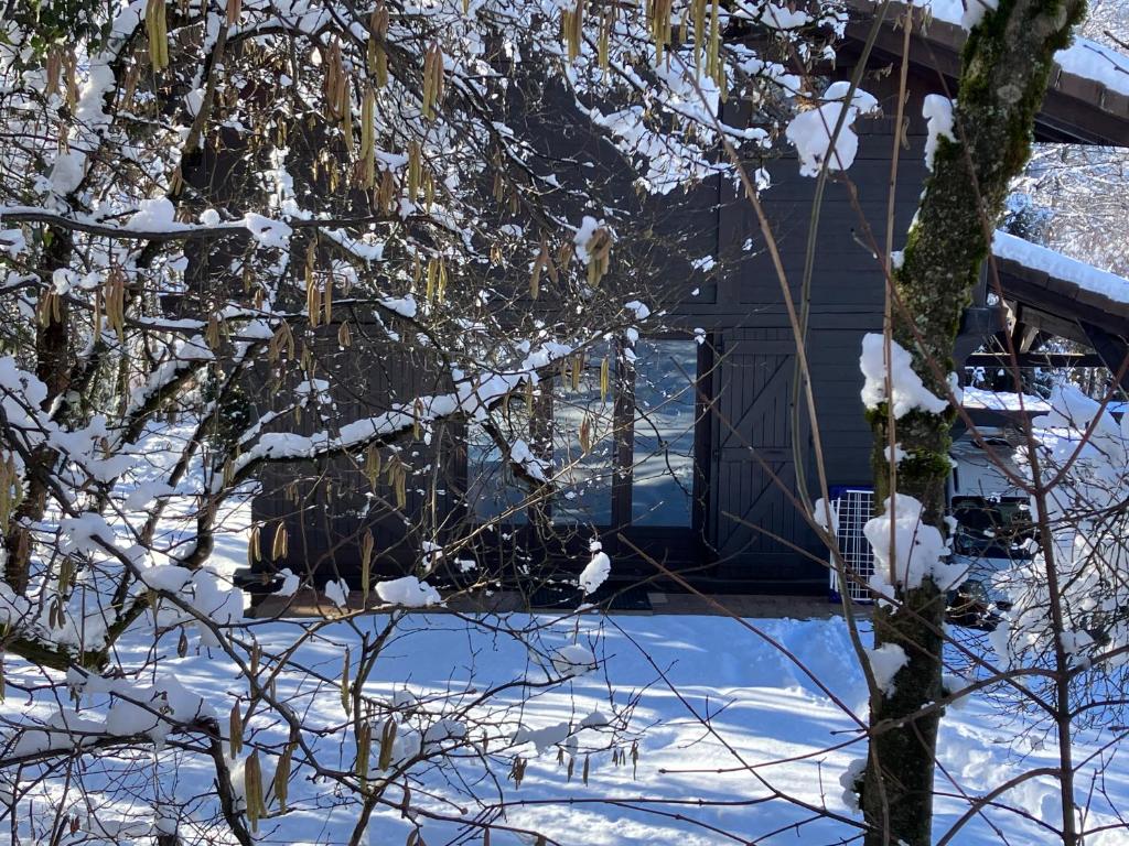 Chalet Le Grand Paddock photo 1