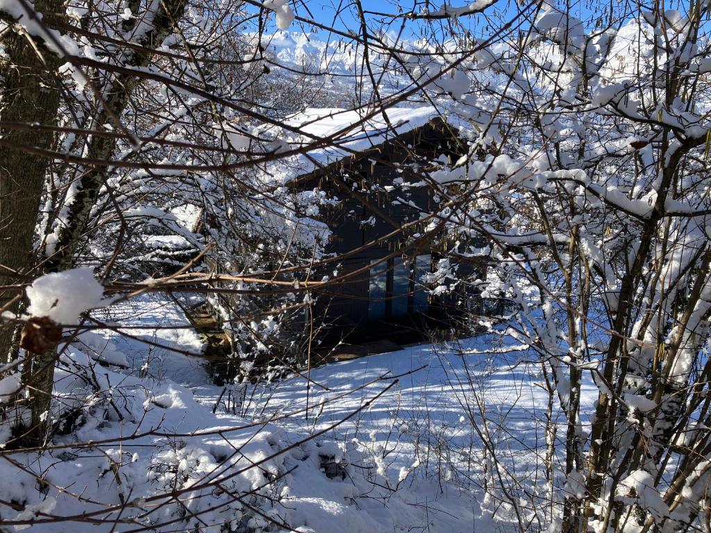 Chalet Le Grand Paddock photo 2