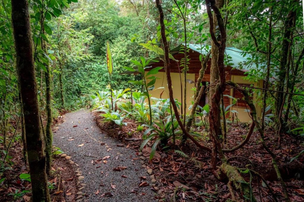 La Tigra Rainforest Lodge photo 2