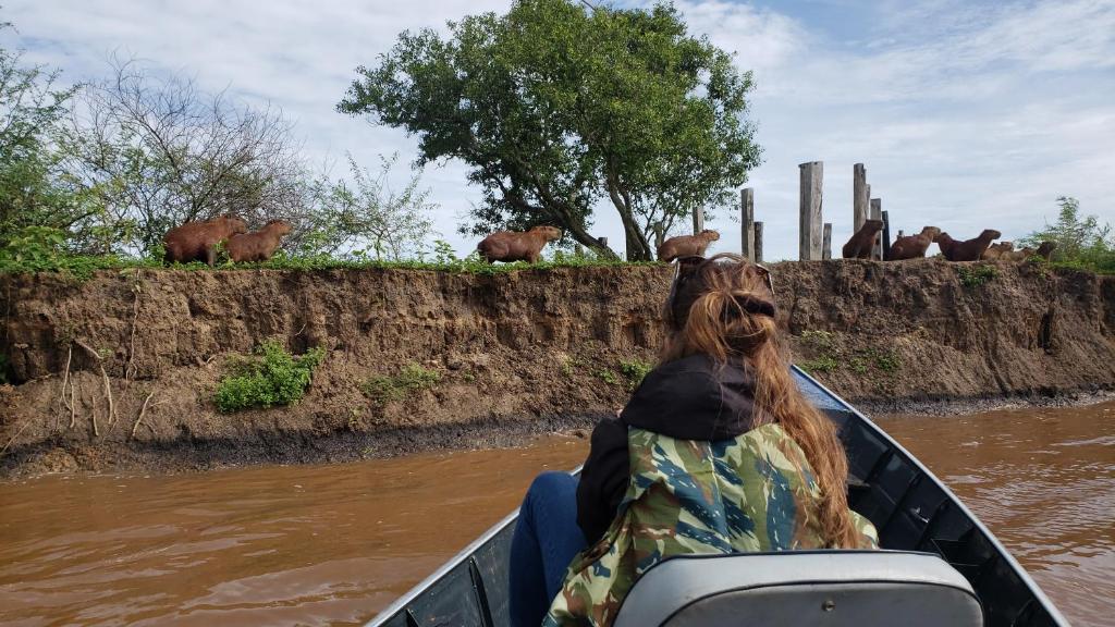 Spot Jaguar Pantanal South- Camping Wild Jaguar Tour photo 2