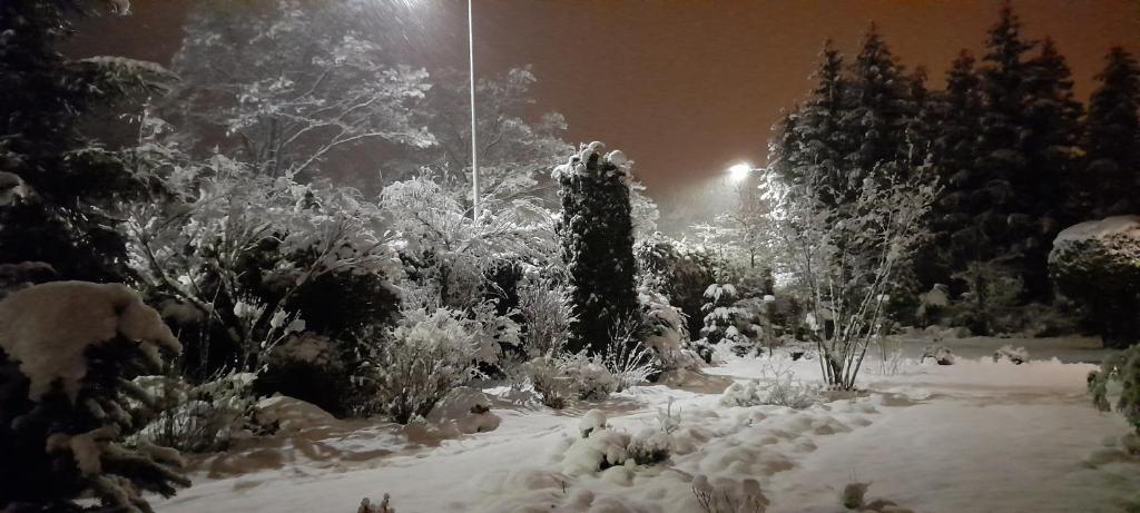 Noclegi Teodorówka photo 1