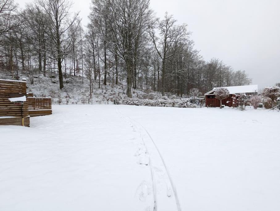Beautiful and cosy house near the lake photo 3