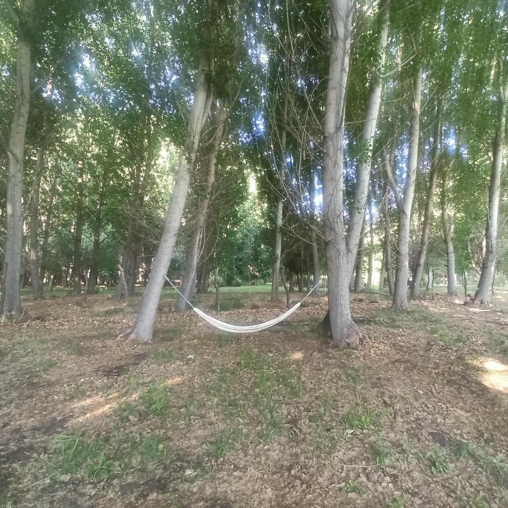 Cabaña Ecologica photo 1