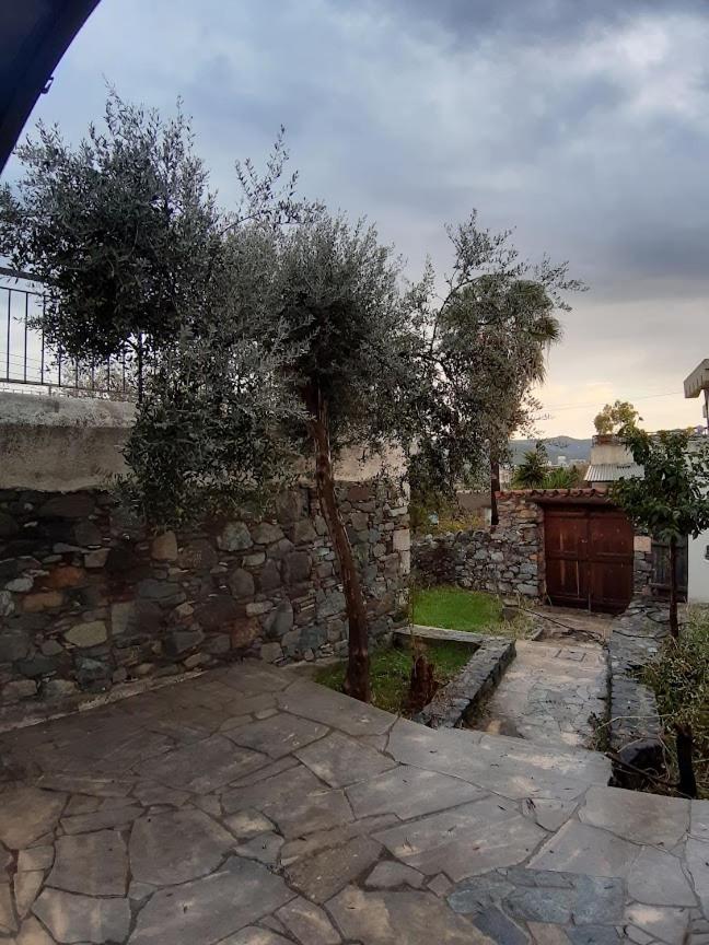 THE ROCK HOUSE - Beautiful countryside with mandarins oranges and olive trees,. Near Limassol at Eptagonia village. photo 4
