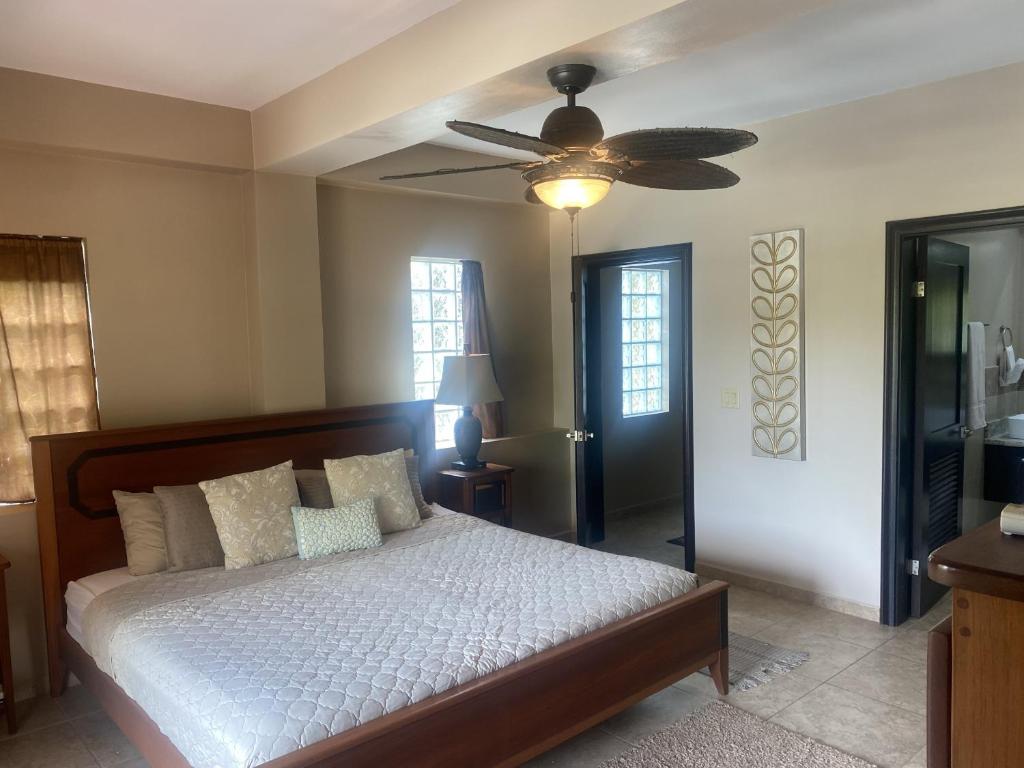 Placencia Pointe Townhomes #5 photo 4