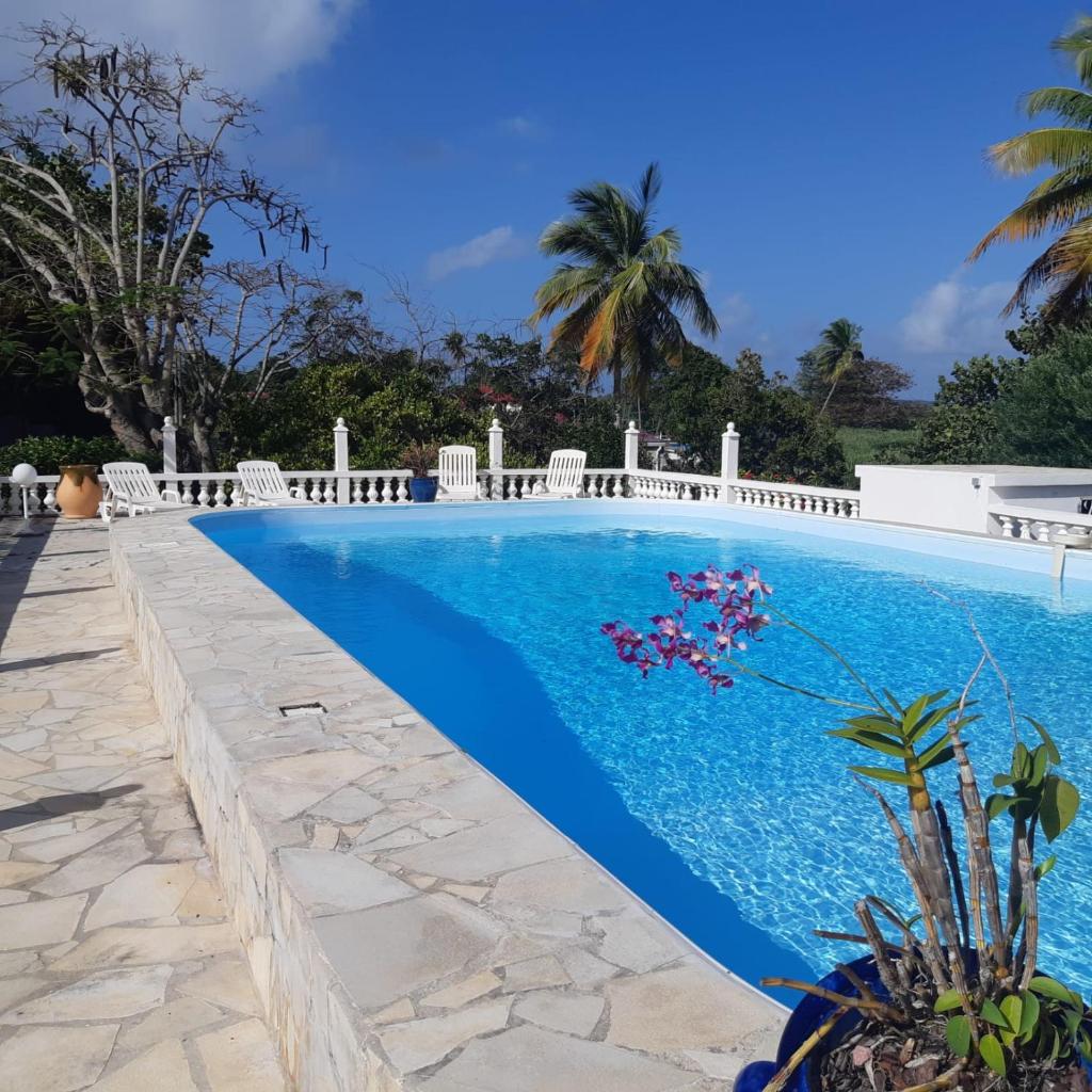 Domaine des Tourterelles photo 2