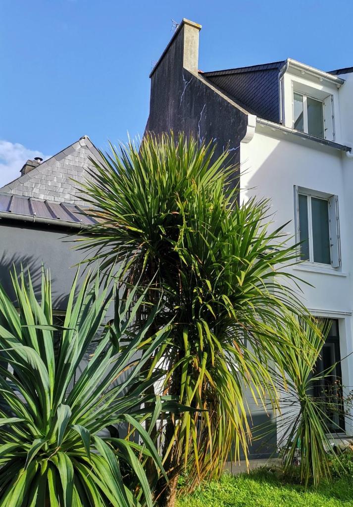 PENINSULAR HOUSE photo 2