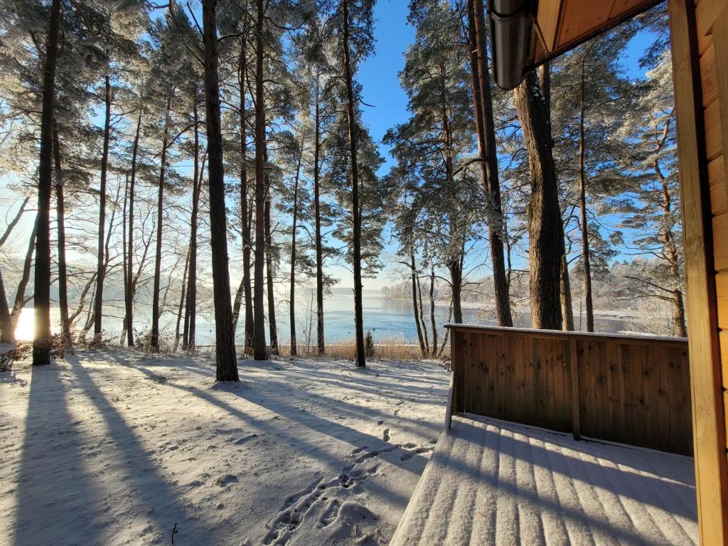 Półwysep Lipa photo 1
