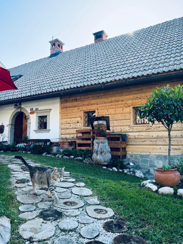 Apartmaji Katrnjek photo 2