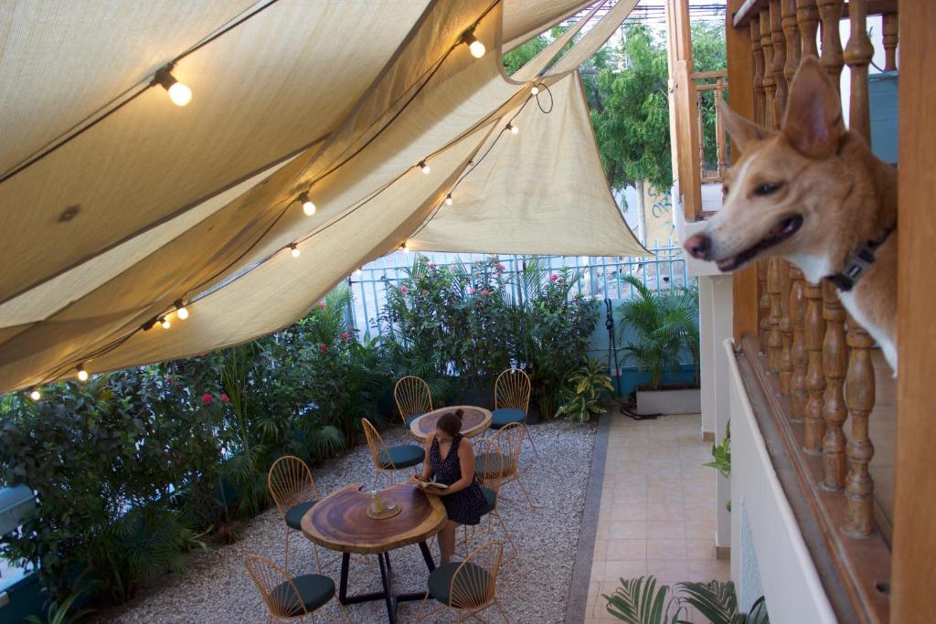 Hostal Magdalena photo 2